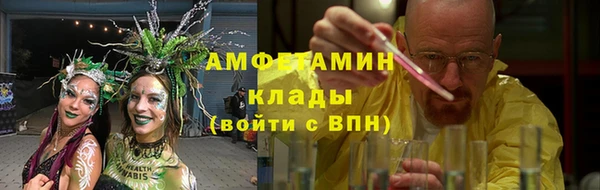 прущие грибы Беломорск