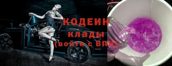 шишки Белоозёрский