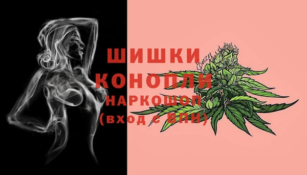 шишки Белоозёрский