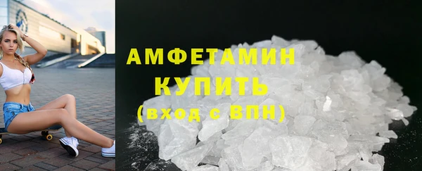 прущие грибы Беломорск