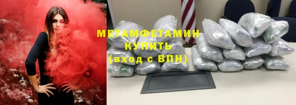 прущие грибы Беломорск