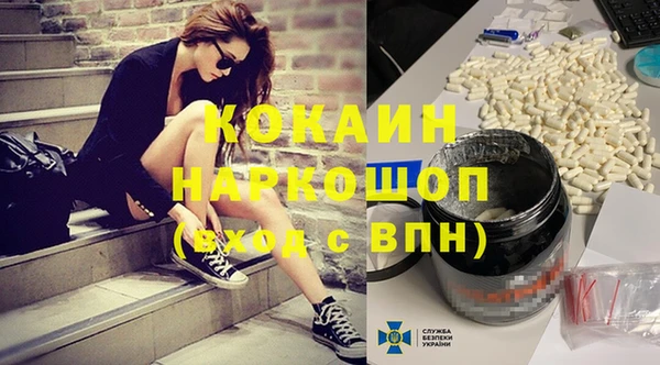 шишки Белоозёрский