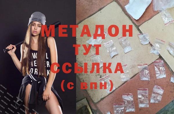 прущие грибы Беломорск