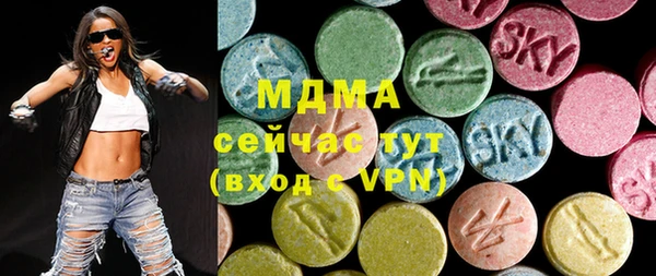 шишки Белоозёрский