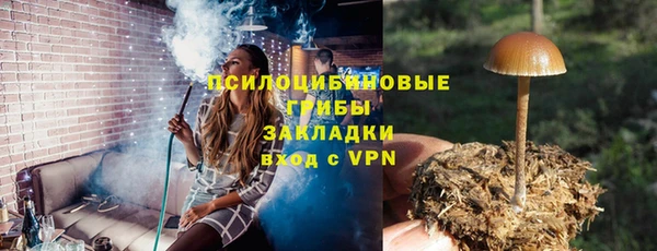 шишки Белоозёрский