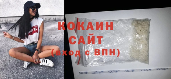 шишки Белоозёрский
