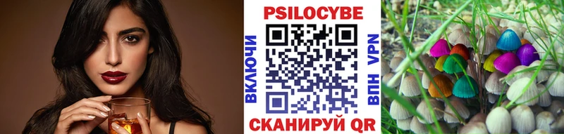 Псилоцибиновые грибы Cubensis Воркута