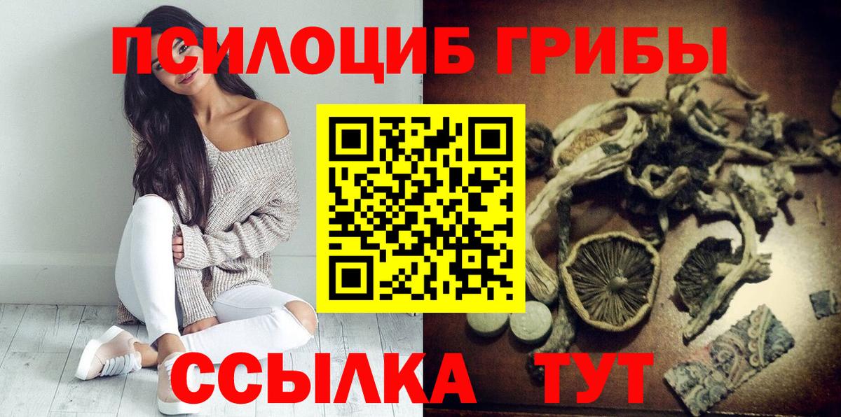 Псилоцибиновые грибы прущие грибы Воркута